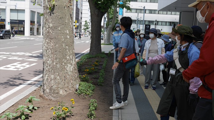 ます花壇前の日照