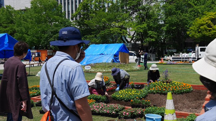 コンクール花壇の植栽