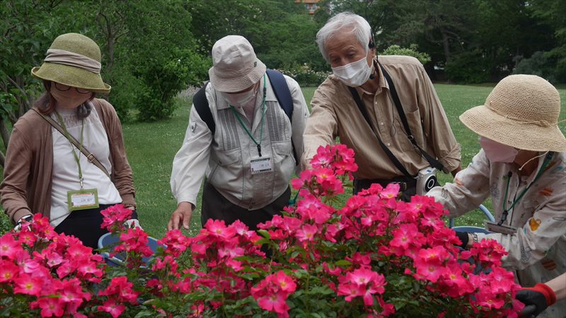中島公園見学会の様子