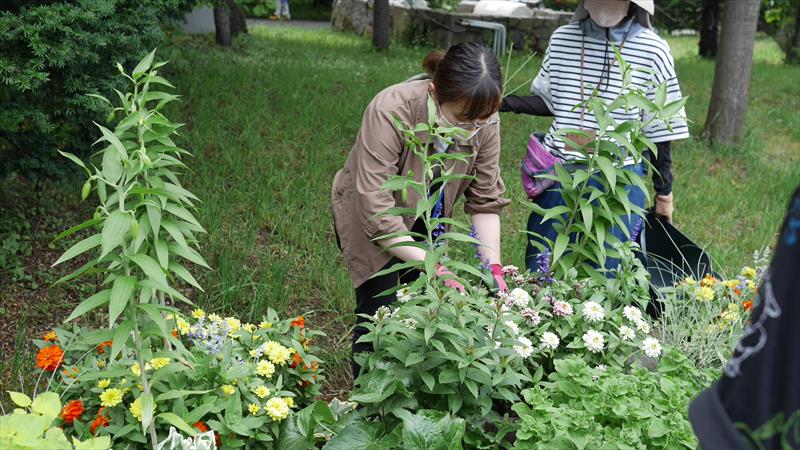 メンテナンスの様子