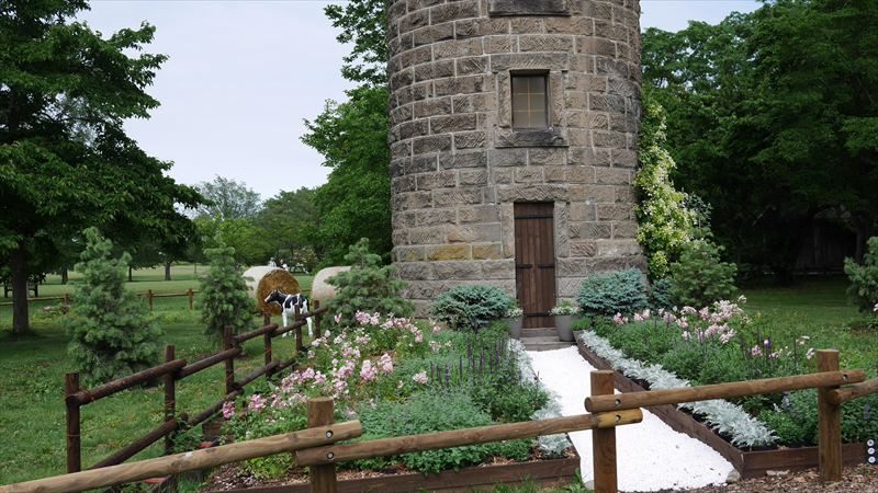 サイロ周りの植栽