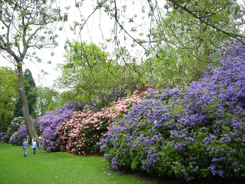 花と緑のまちづくりフォーラム