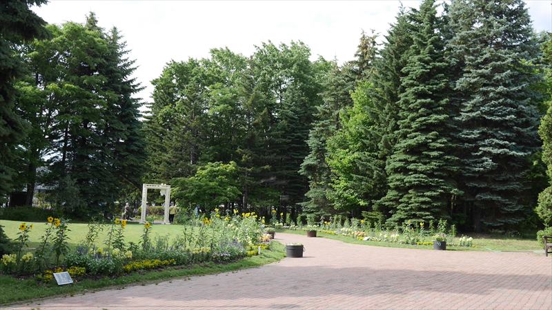 緑のセンター前のコンテナと花壇の様子