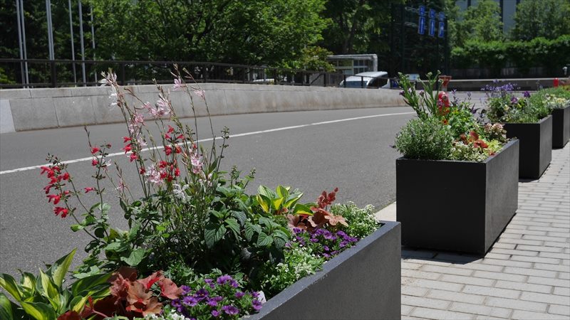 市役所前の様子