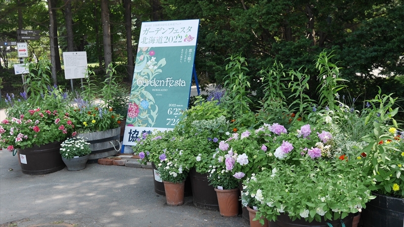 フェスタが開催していらの様子