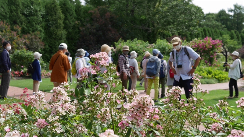 イコロの森の見学の様子