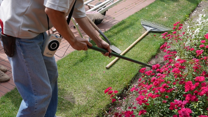 エッジの処理の仕方