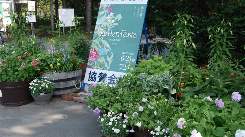 しっとりした駐車場角の植栽