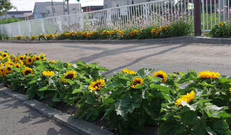 ガーデンフェスタ中の駅前花壇