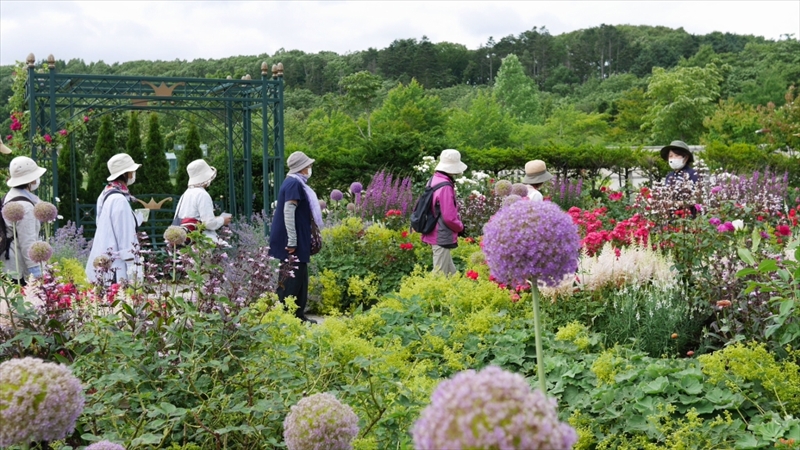 ローズガーデンの見学の様子