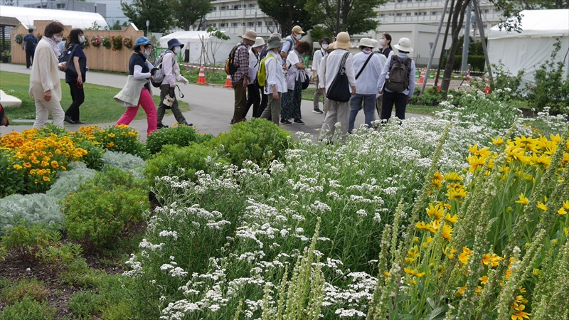 大花壇の植栽