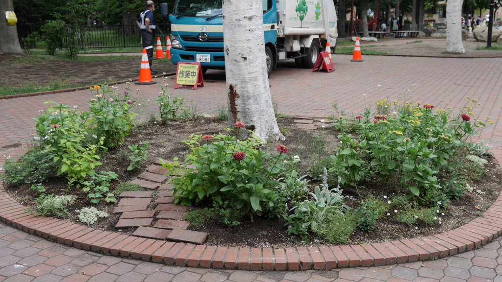 永山記念公園花壇の様子