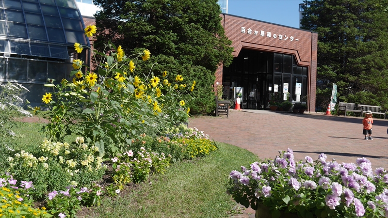 最終日近くのセンター前の様子