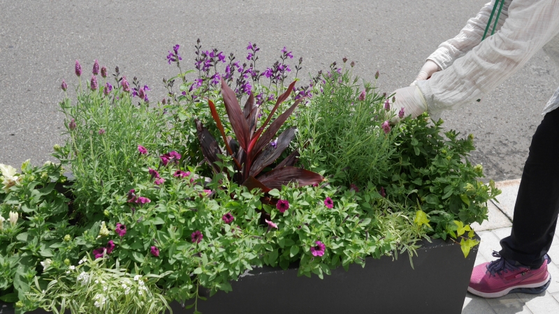 市役所前コンテナのメンテナンス