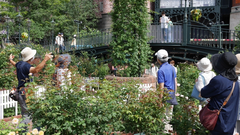 サンクンガーデンの説明の様子