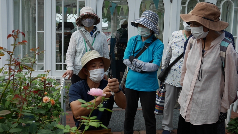 バラの管理説明を聞いている様子