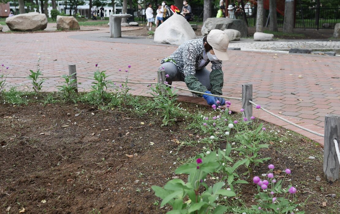 円型花壇のメンテナンス