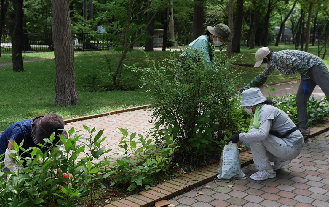 除草と剪定の様子