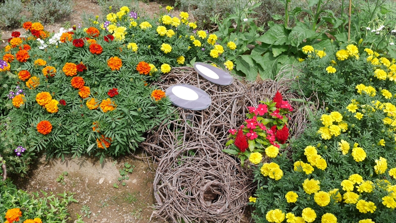 お花で作ったきよっち