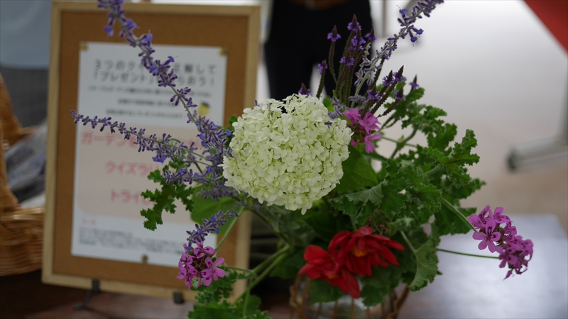 入口のお迎え花