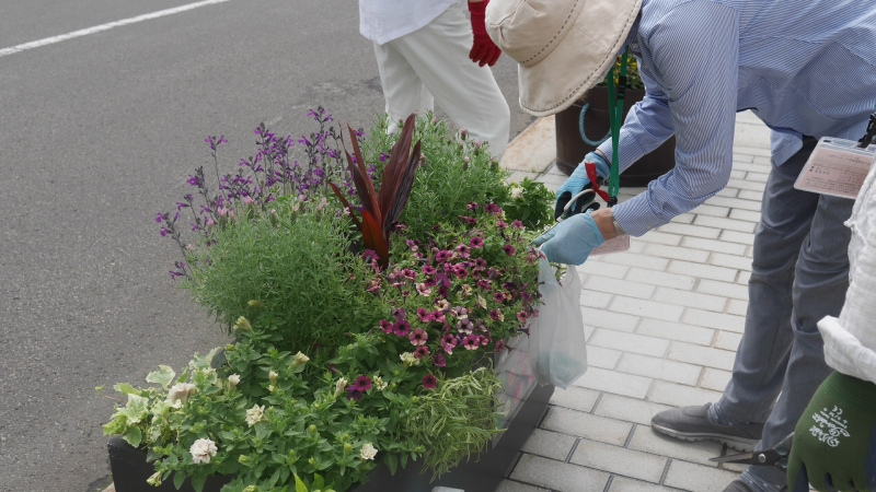 コンテナをメンテナンスするようす