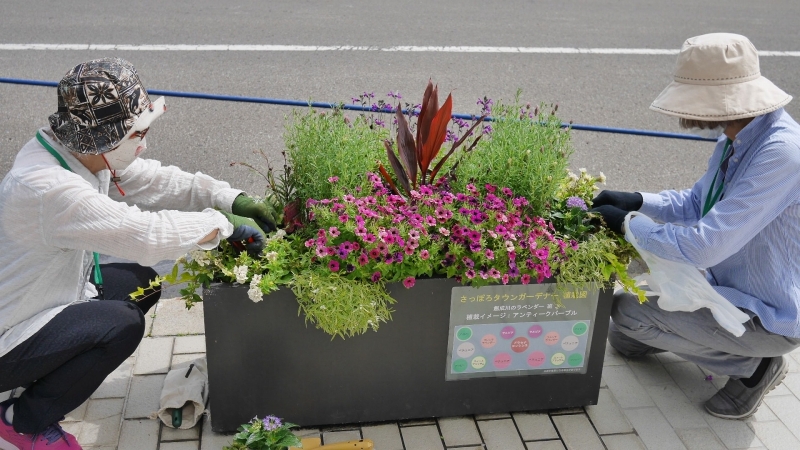 花苗補植のようす