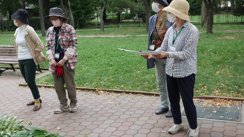 植栽検討の様子