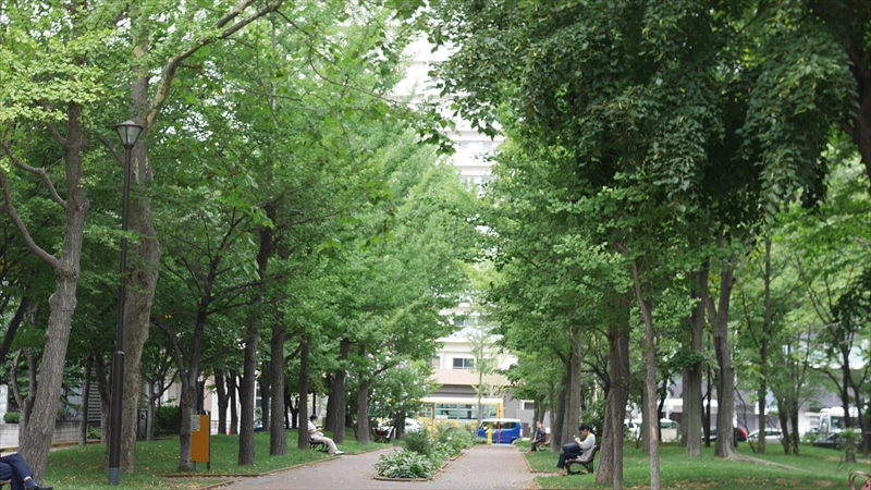 永山記念公園のボーダー花壇