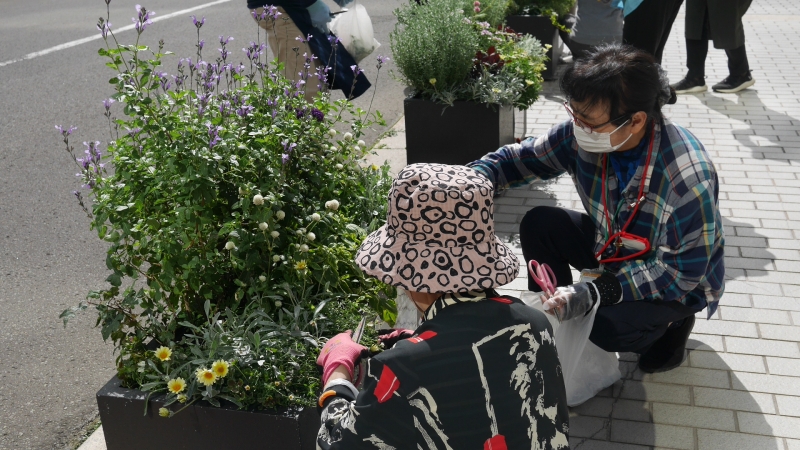 コンテナ花壇のメンテナンス作業