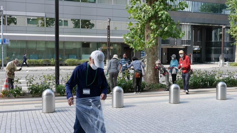 ます花壇ヒマワリの片付け
