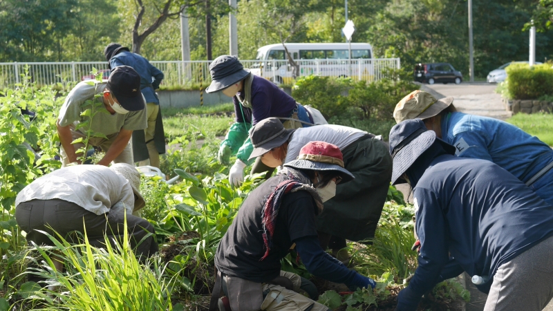 株分け実習の様子