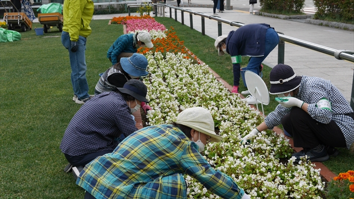 大通公園で活動するシーズネットのみなさん