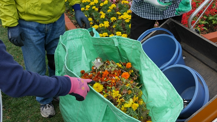 集まったたくさんの花がら