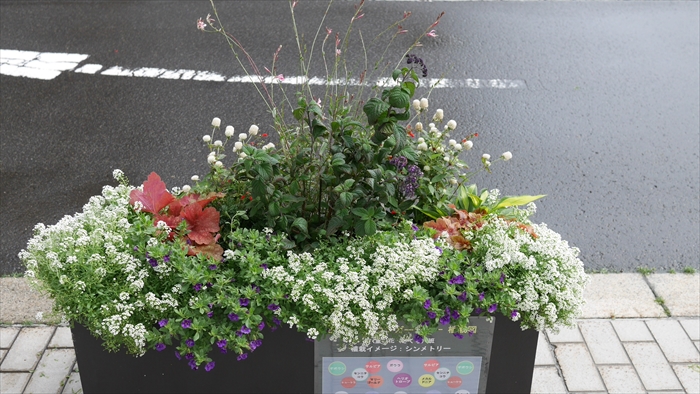 八重の花　班のコンテナ