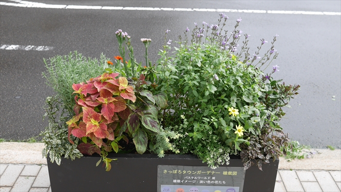 パステルワールド　班のコンテナ