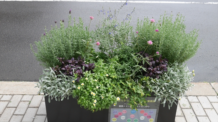 スィーツエレガント 班のコンテナ