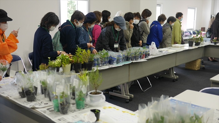 種苗交換会の様子