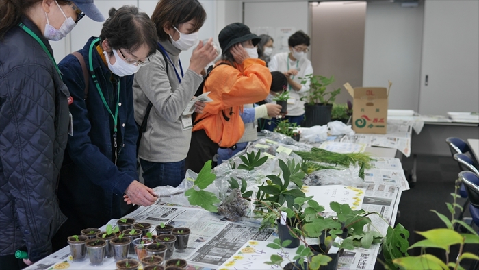 種苗交換会の様子
