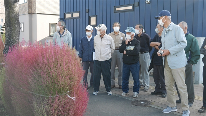 コキアの観察会の様子