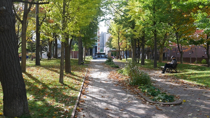 永山記念公園の秋景色