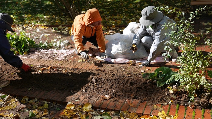補植作業の様子