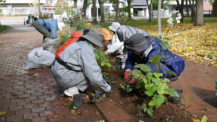 花壇片付けと補植の様子