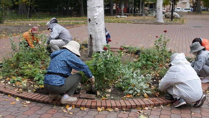 シラカバ花壇の作業の様子