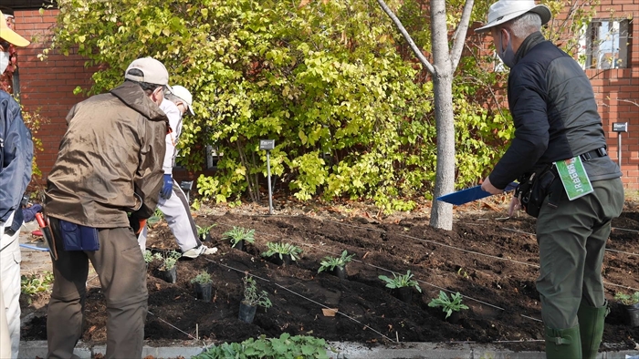花壇の植え替え作業