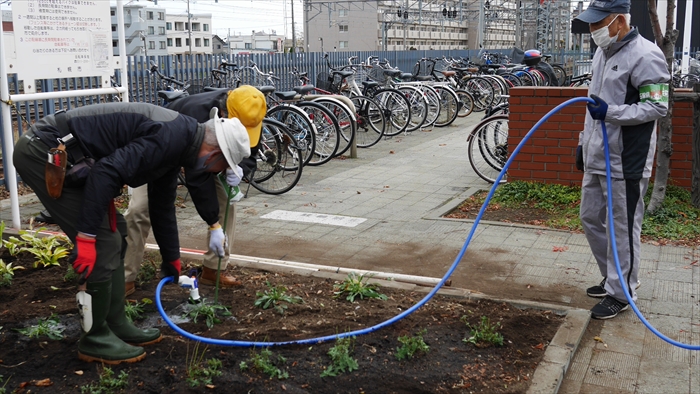 シャベルを使って確認しながら水やりをしている