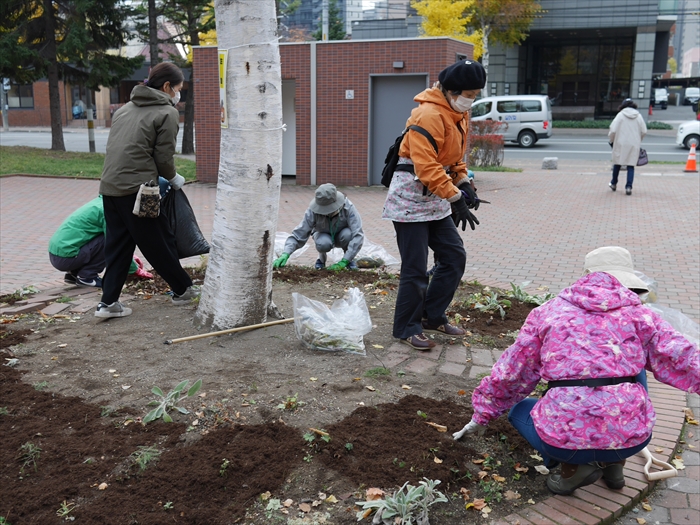 堆肥でマルチングをしている