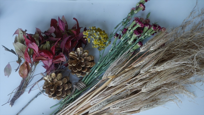 庭で育てた植物のドライフラワー