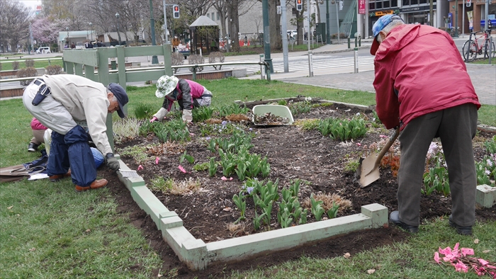 花壇整備の様子
