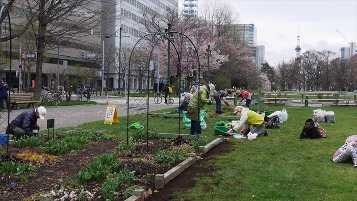 大通公園西8丁目での活動の様子