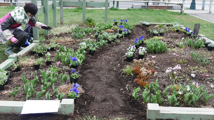 リラの会の花壇１